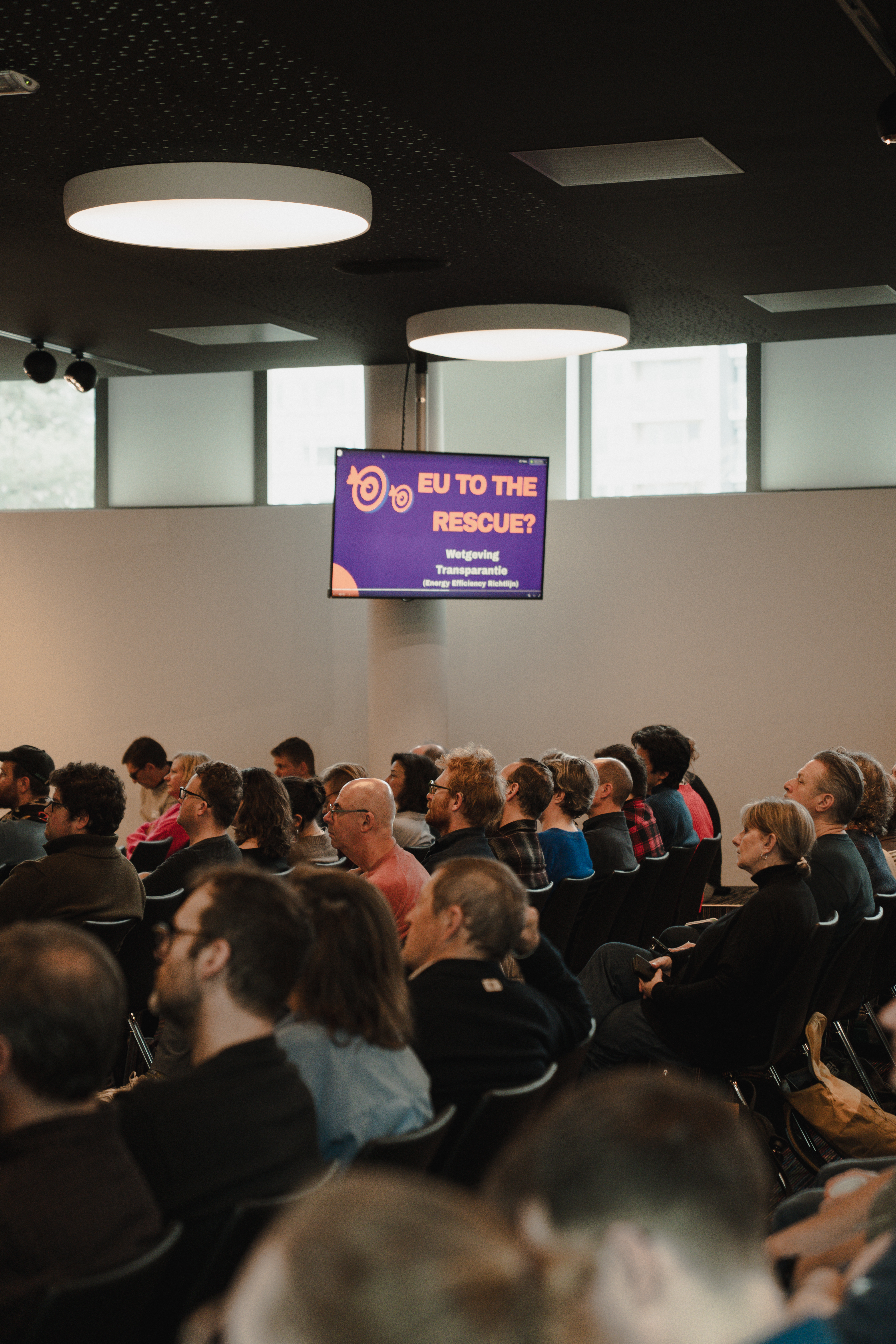 EU to the rescue slide